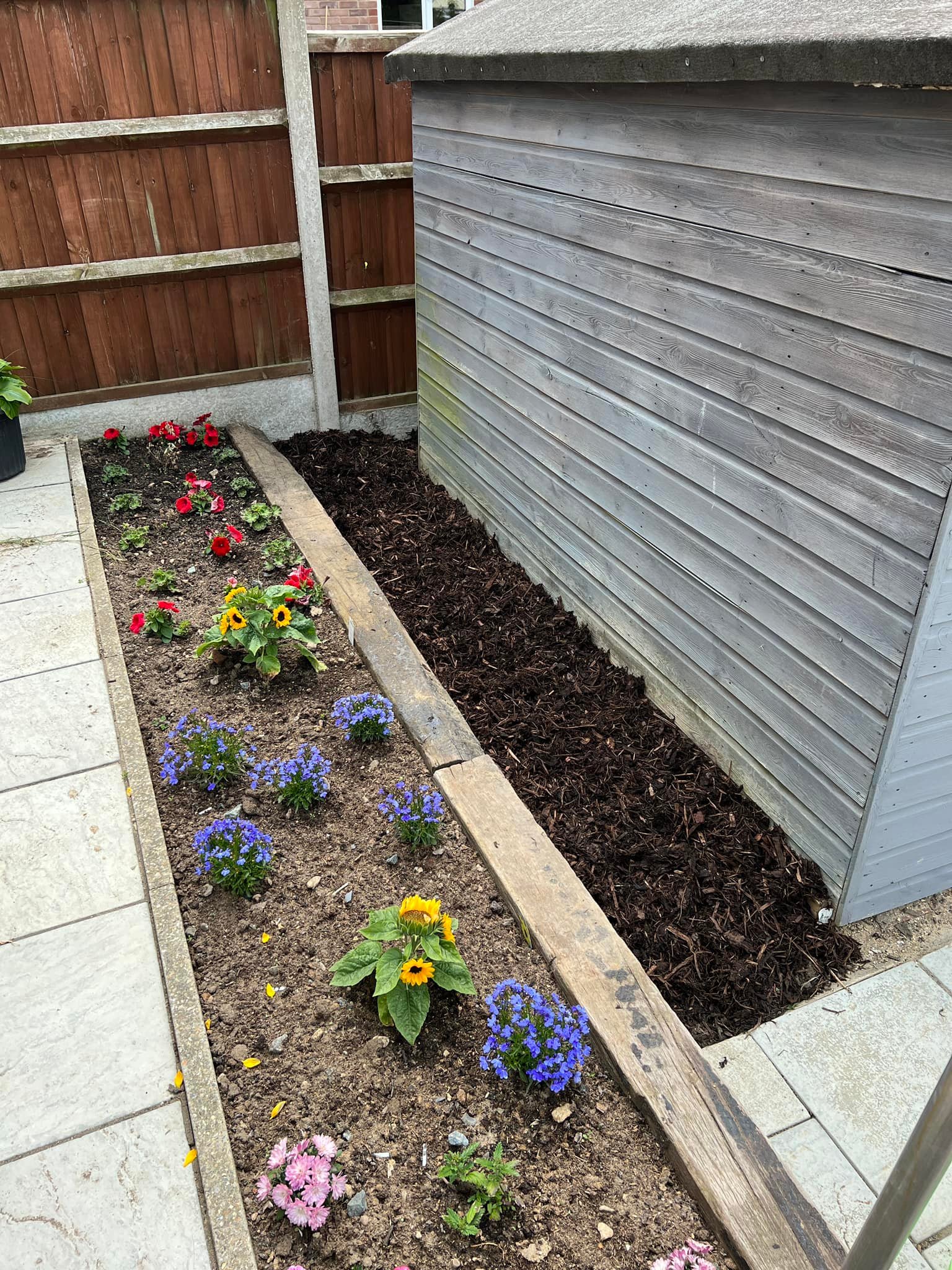 Planted area beside garden shed
